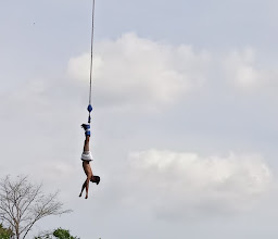 Jungle Bungy Jump photo
