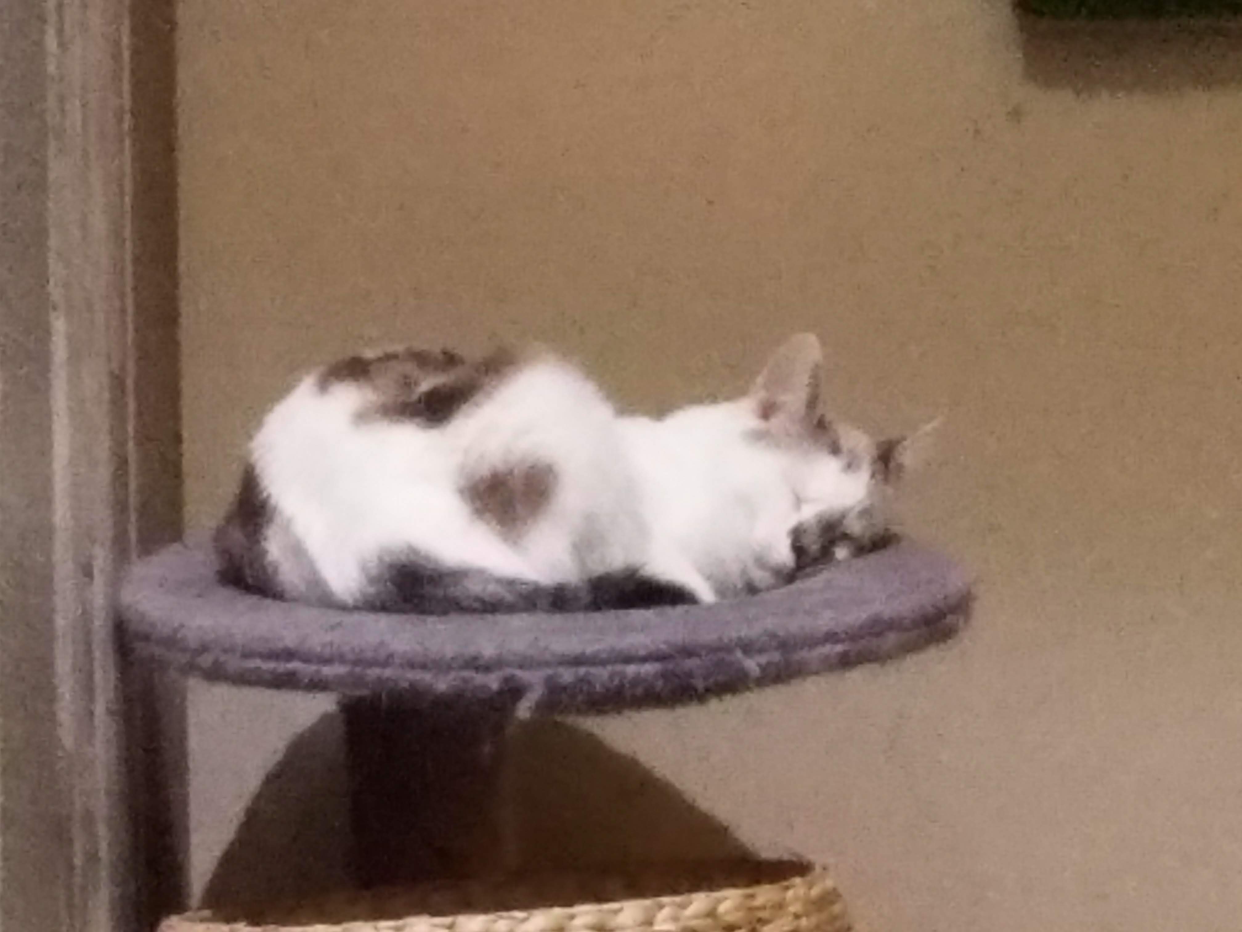 Photo n° 2 de l'avis de Olivier.a fait le 10/11/2018 à 23:00
