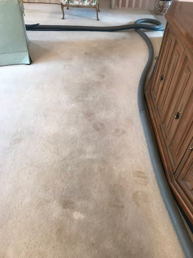 Carpet Cleaning Service «Elite Carpet Cleaning Service», reviews and photos, 29031 Glenarden St, Farmington Hills, MI 48334, USA
