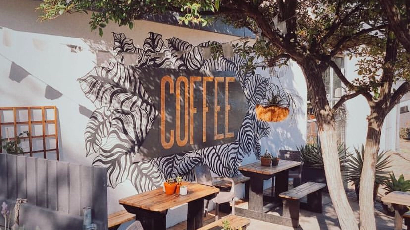 Ginger Tree Coffee