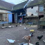 Photo n° 1 de l'avis de Christine.e fait le 16/04/2022 à 22:28 pour La ferme du Fays à Cerisiers