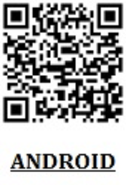 Legal Services «Pitbull Nationwide Attorney Services», reviews and photos, 1243 Oley St, Reading, PA 19604, USA