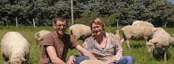 Ferme des Trois Oies / Cabacourt Saint-Romain-de-Popey