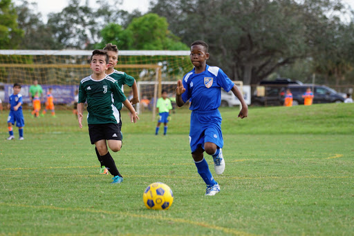 Park «Pine Island Park», reviews and photos, 320 S Pine Island Rd, Plantation, FL 33324, USA