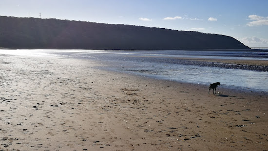 Sand Bay Beach
