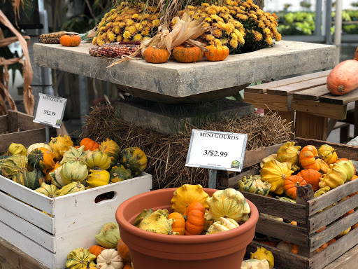 Garden Center «H J Benken Florist & Garden», reviews and photos, 6000 Plainfield Rd, Cincinnati, OH 45213, USA