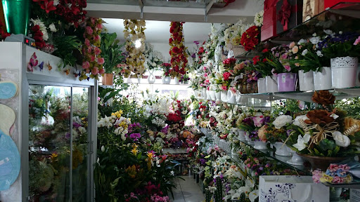 Muğla Nergis Çiçekçilik