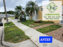 Yiré landscaping Limpieza y Mantenimiento Áreas Verdes - Photo 9 - Car repair in Florida, Puerto Rico, Arecibo