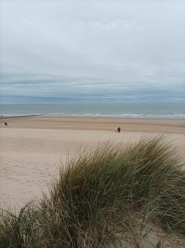 Bredene Campings