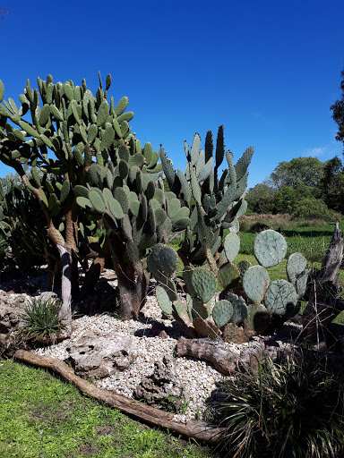 Jardín Botánico Ragonese INTA