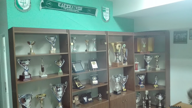 Σχόλια και κριτικές για το Δημοτικό Στάδιο Έδεσσας «Φόρης Γεντζής»