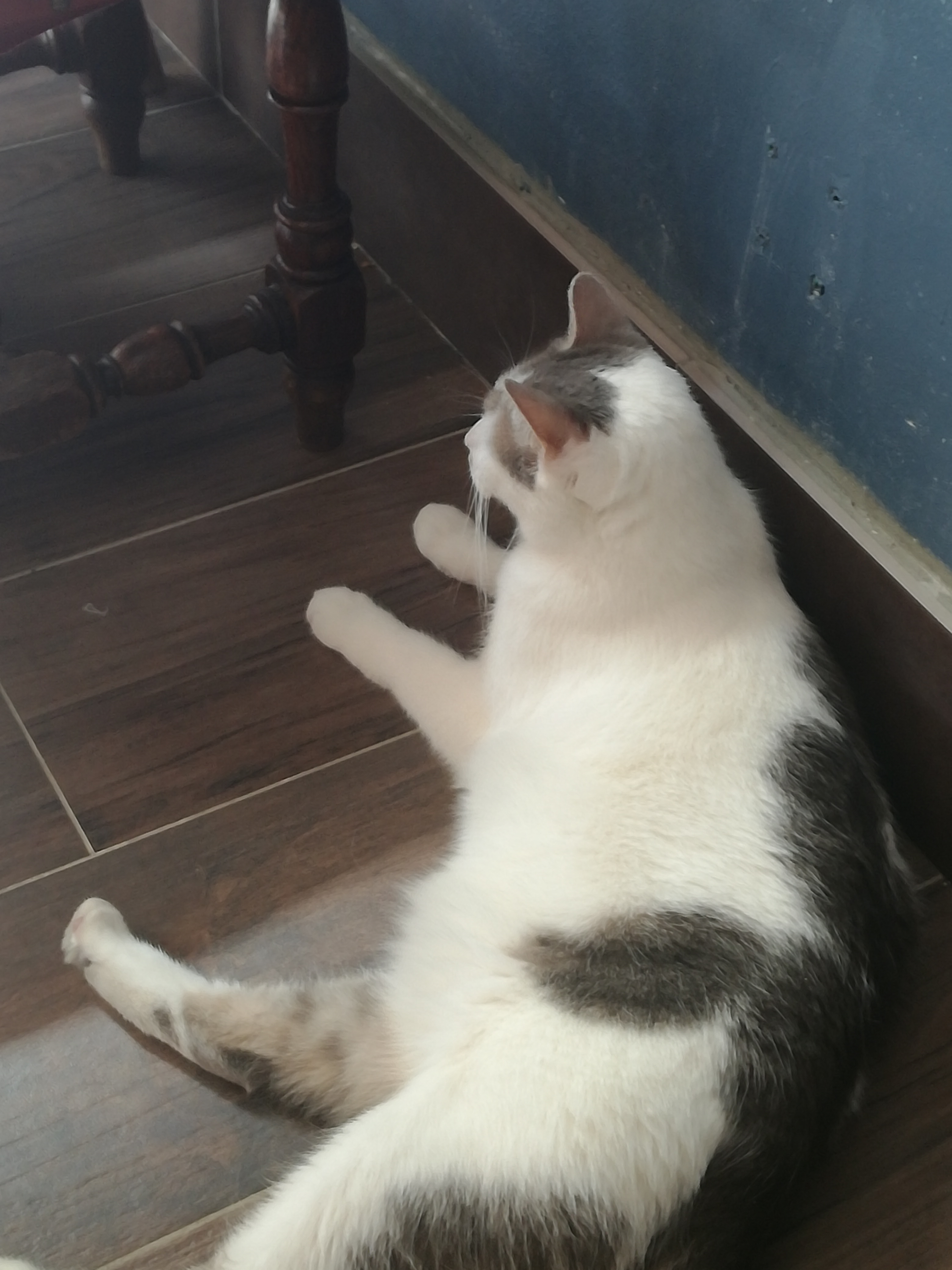 Photo n° 4 de l'avis de Mathou.r fait le 12/07/2019 à 07:27