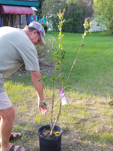 Campground «Pine Ridge Park», reviews and photos, 212 NY-122, Constable, NY 12926, USA