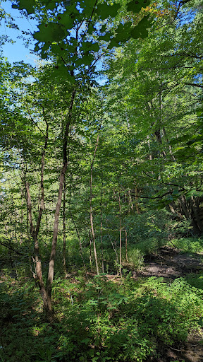 Nature Preserve «Centennial Woods Natural Area», reviews and photos, I-89, Burlington, VT 05401, USA