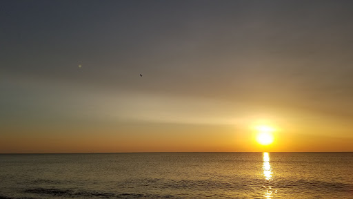 Army & Navy Surplus Shop «Navy Exchange-Dam Neck Annex», reviews and photos, 1977 Terrier Ave, Virginia Beach, VA 23461, USA