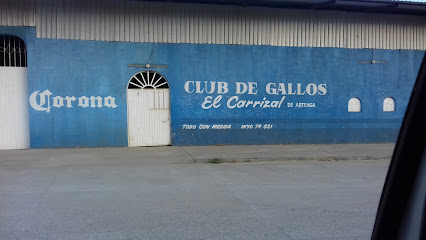 Club de gallos 'El carrizal'