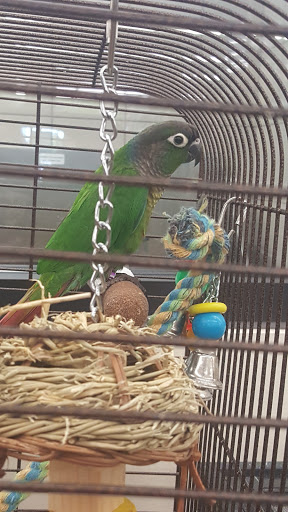 Pet Supply Store «Pet Supplies Plus», reviews and photos, 955 Co Rd E East #100, Vadnais Heights, MN 55127, USA