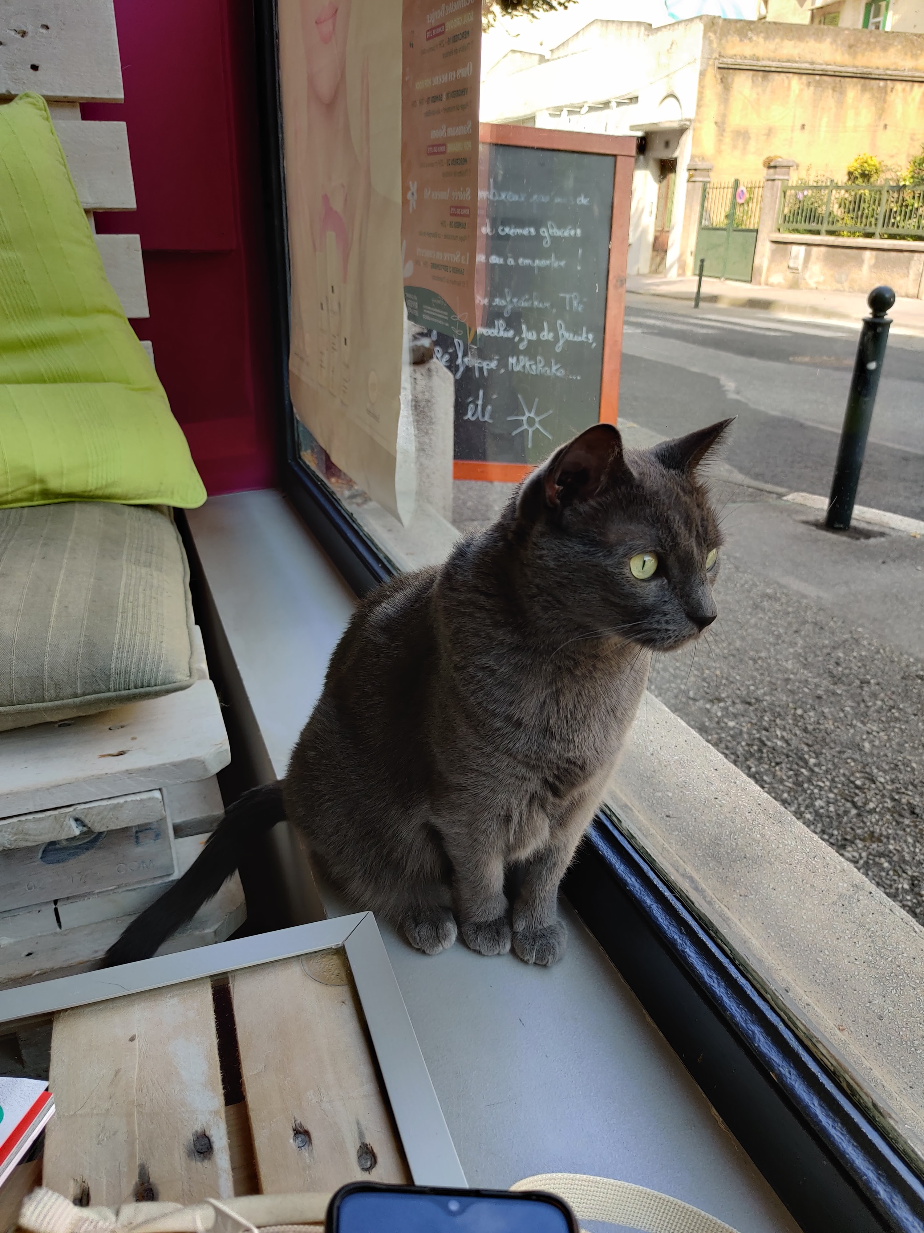 Photo n° 7 de l'avis de Joël.r fait le 29/08/2023 à 09:34
