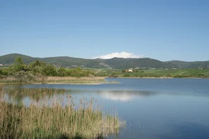 Riserva naturale regionale Lago di Santa Luce image