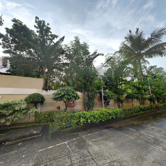 Google Maps image 12