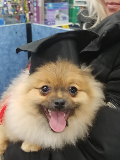 Pet Supply Store «PetSmart», reviews and photos, 8460 Tamarack Village, Woodbury, MN 55125, USA