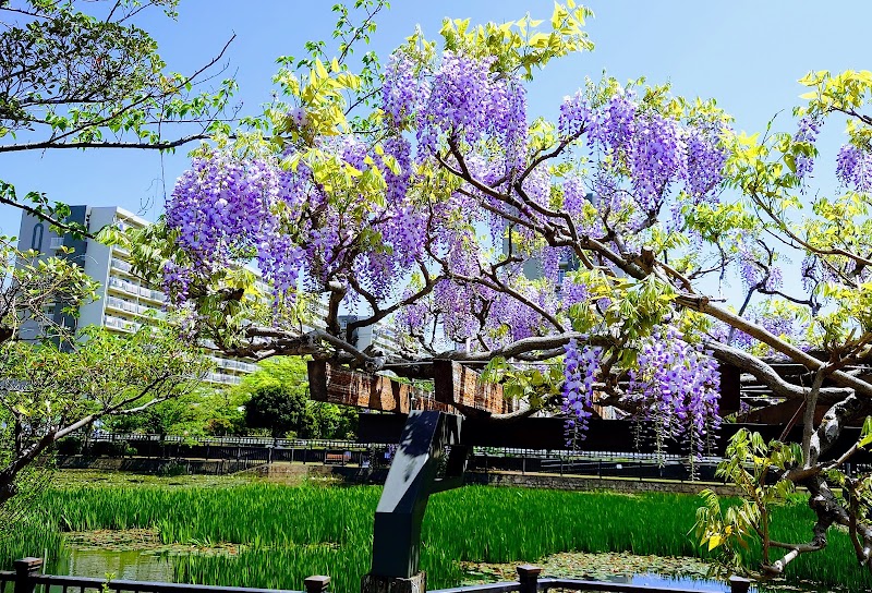 こざと南公園