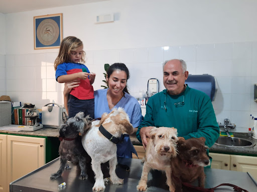 Pensioni per cani e dog hotel a VET CLINIC - PRONTO SOCCORSO VETERINARIO OLBIA