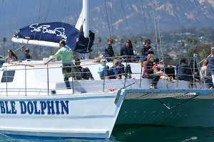 Double Dolphin Cruises image