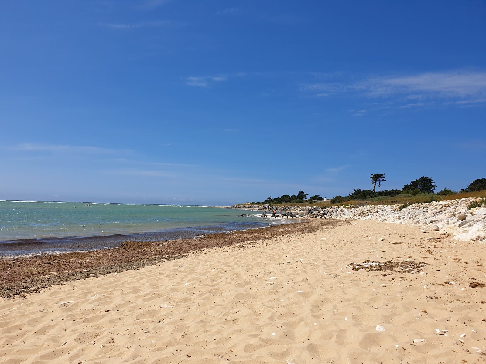 Plage de la Pointe de Grignon'in fotoğrafı düz ve uzun ile birlikte