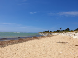 Plage de la Pointe de Grignon'in fotoğrafı düz ve uzun ile birlikte