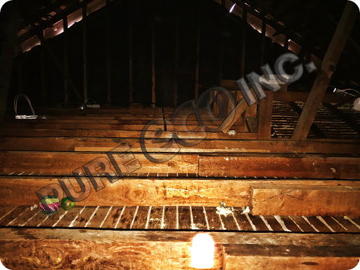 Insulation Contractor «Pure Eco Inc.», reviews and photos