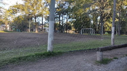 Alvarez Gol