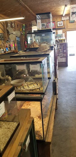 Zoo «Waccatee Zoological Farm», reviews and photos, 8500 Enterprise Rd, Myrtle Beach, SC 29588, USA