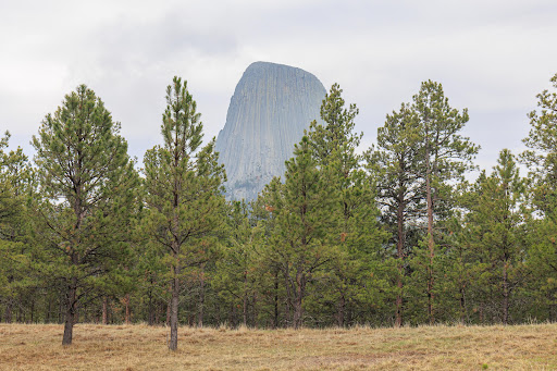 Joyner Ridge Trailhead