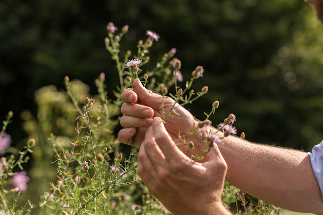 wivena GmbH - Naturnaher Garten