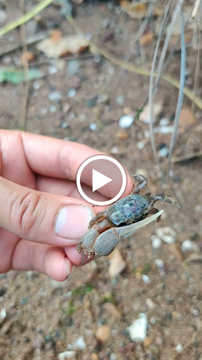 Park «Lemon Creek Park», reviews and photos, Hylan Blvd, Staten Island, NY 10309, USA