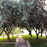 Photo n°19 de l'avis de Günther.r fait le 04/05/2022 à 20:19 sur le  Trattoria al Morar à Castelnuovo del Garda