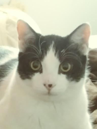 Water Park «Cascade Bay Water Park», reviews and photos, 1360 Civic Center Dr, Eagan, MN 55122, USA