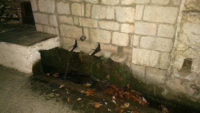 Photos of Taverna Platana
