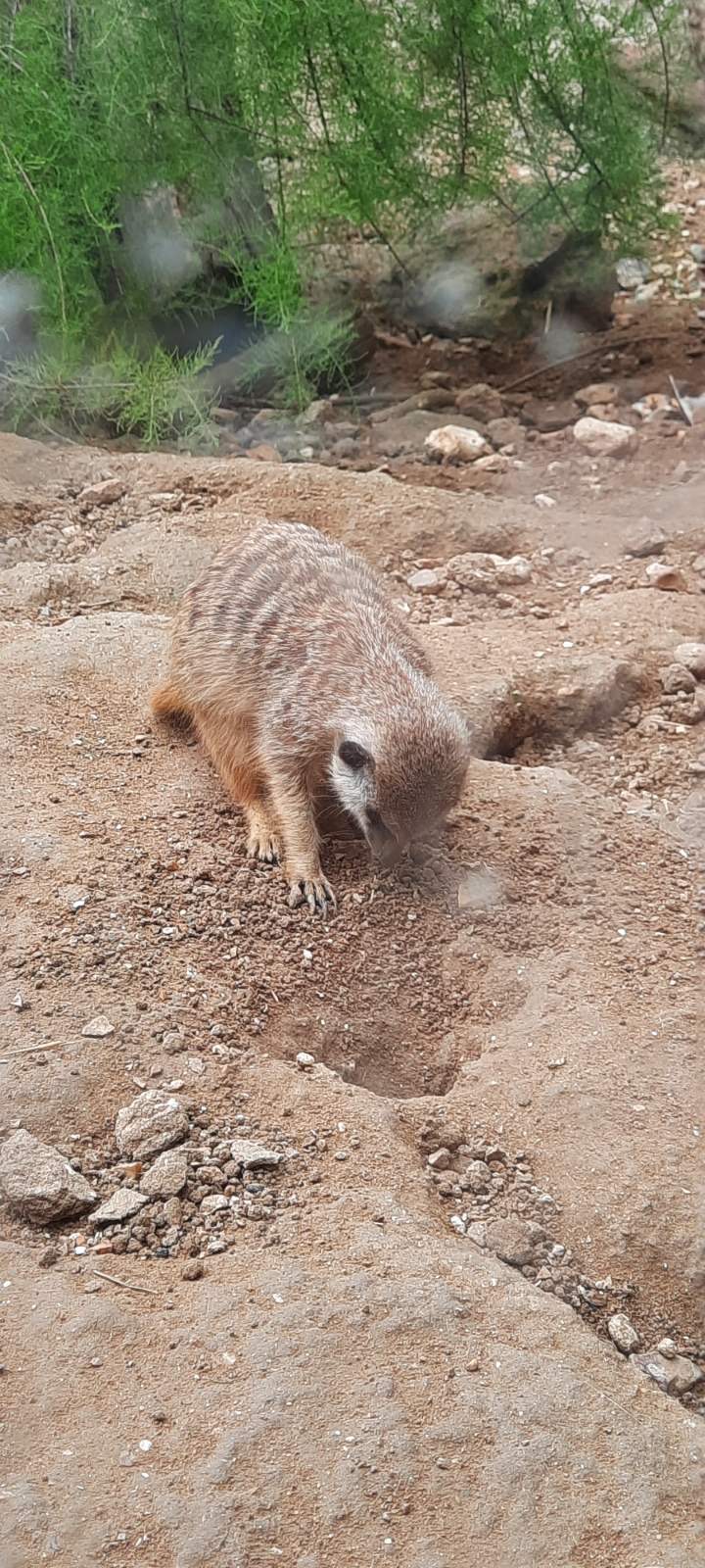 Photo n° 2 de l'avis de Philippe.o fait le 11/08/2021 à 13:27