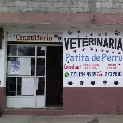 veterinaria patita de perro