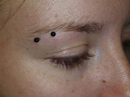 Explore seagull tattoo ideas, creative tattoo ideas in Sarasota, available at Z-Edge Tattoo and Body Piercing North Shop