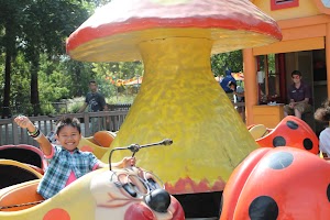 Danny the Dragon Train - photo 4