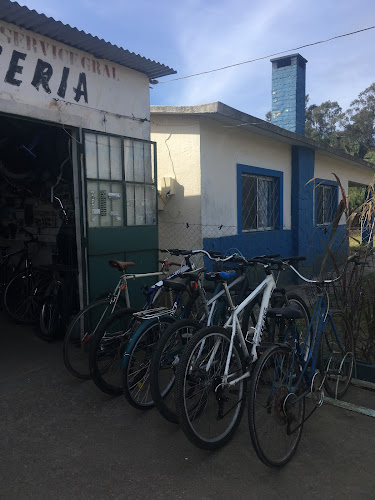 Taller de Bicicletas - Sergio