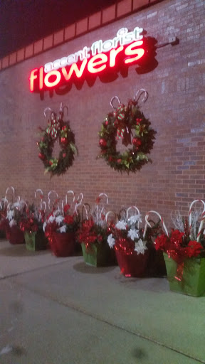 ACCENT FLORIST, 4048 Rochester Rd, Troy, MI 48085, USA, 