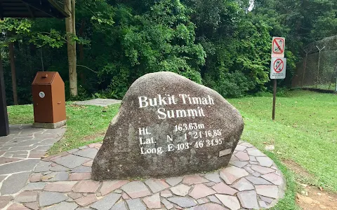 Bukit Timah Nature Reserve, BTNR Hindhede image