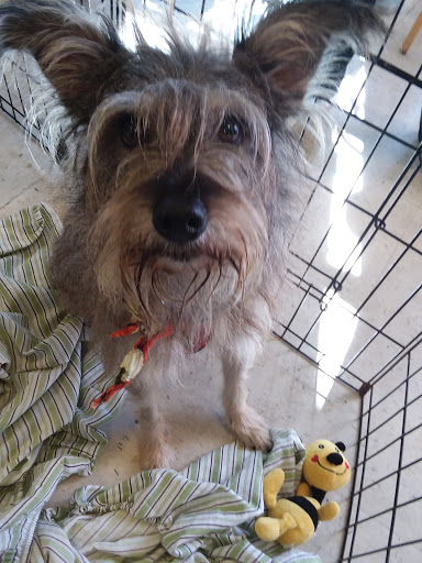 Pet Supply Store «PetSmart», reviews and photos, 2435 NW Federal Hwy, Stuart, FL 34994, USA