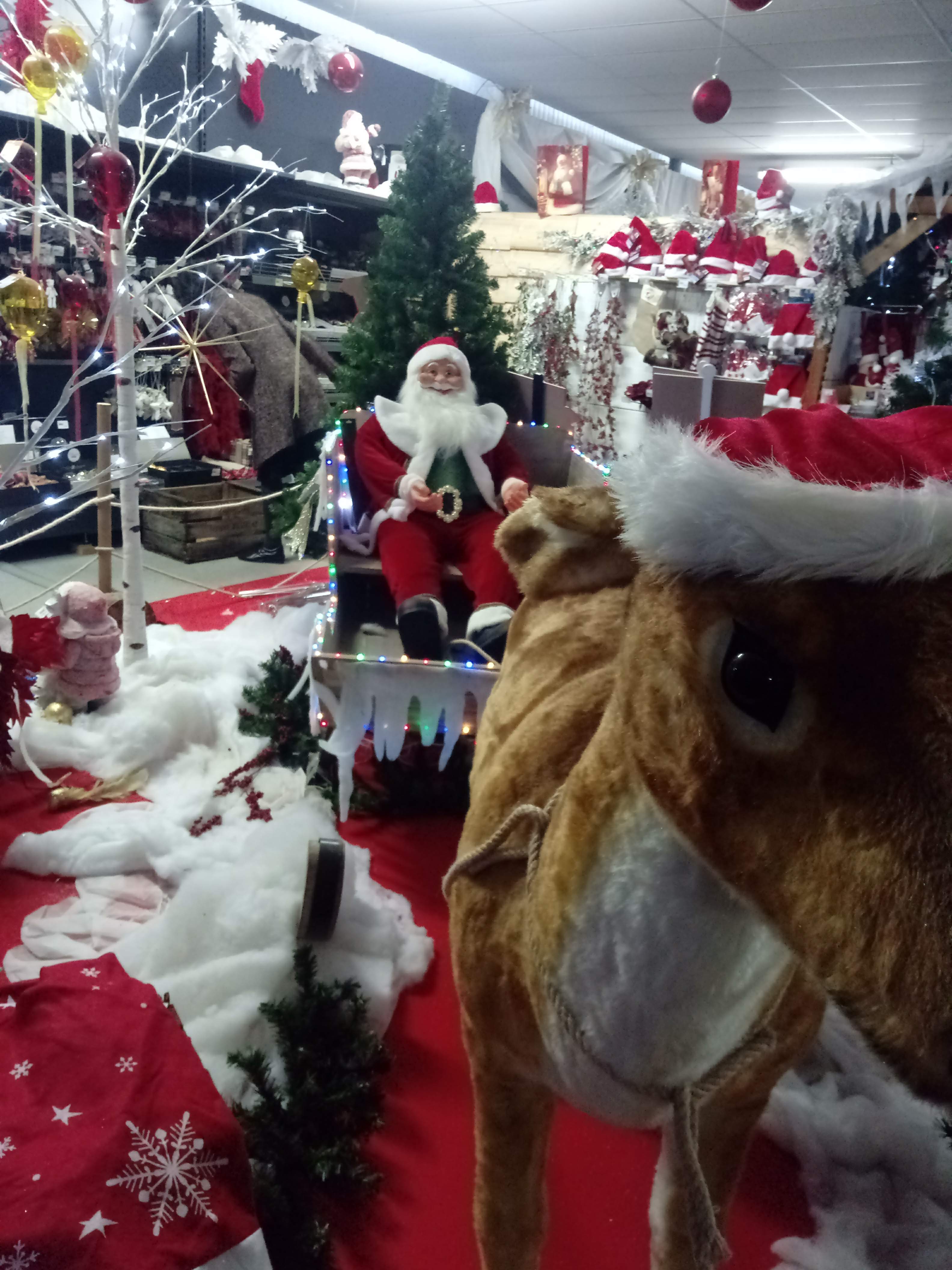 Photo n° 10 de l'avis de Maéva.I fait le 19/12/2018 à 16:30