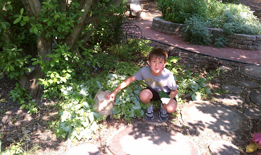 Zoo «Hamill Family Play Zoo», reviews and photos, 3300 Golf Rd, Brookfield, IL 60513, USA