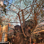 Photo n°8 de l'avis de Susanne.r fait le 14/02/2024 à 23:15 sur le  Ristorante Adelio à Untersteinach